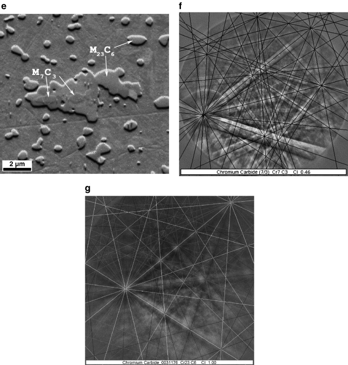 Full-size image (118 K)